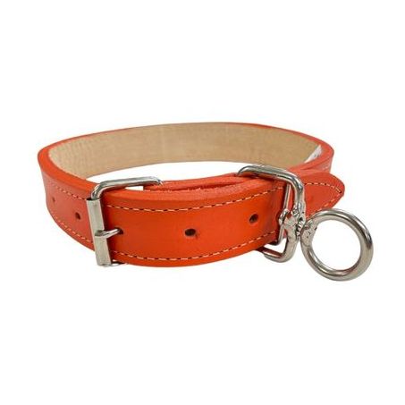 Coleira couro rise dupla 80 c/dist