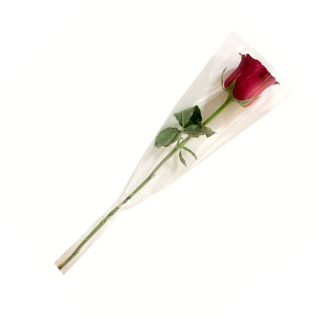 Flores rosa samourai