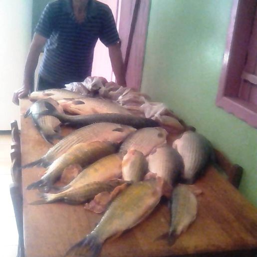 Pescador de Mondaí relata rotina e desafios do profissional