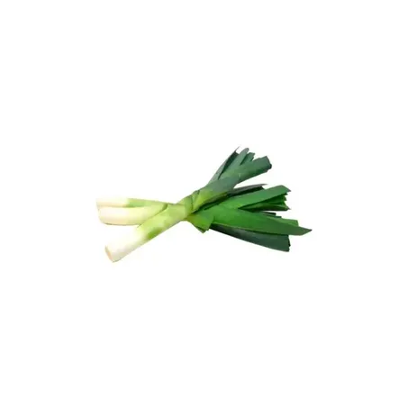 ALHO PORO VIDA VERDE