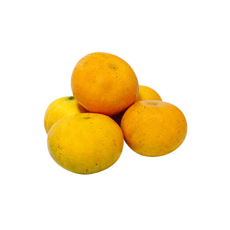 Morgota kg