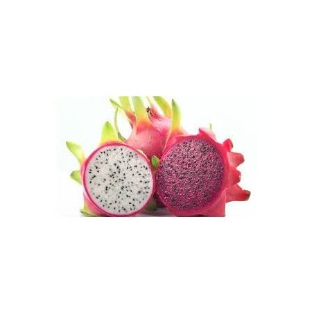 PITAYA KG