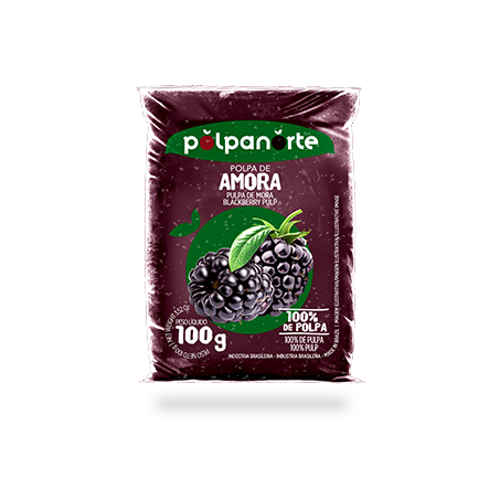 Polpa Fruta Polpa Norte 100g Amora