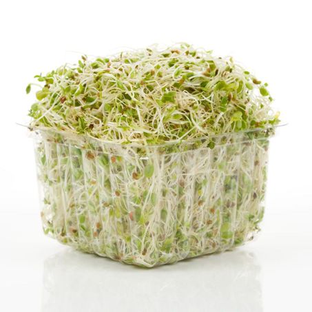 Broto alfafa greenss 150g