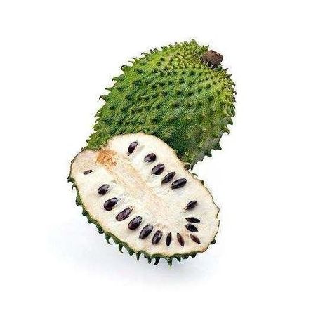 GRAVIOLA KG