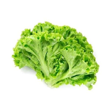 Alface crespa Green Way 150g