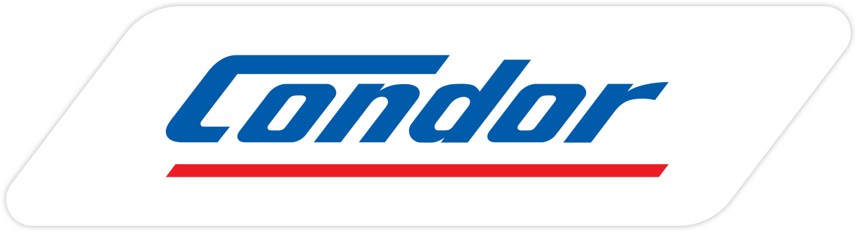 Go-live antecipado, equipe preparada e maior eficiência com controle em tempo real dos pedidos