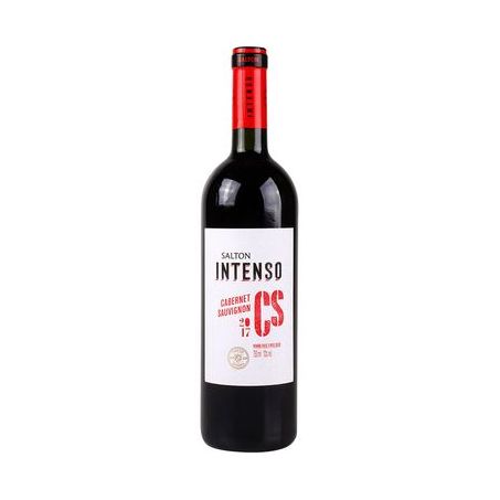 Vinho Tinto Salton Cabernet Sauvignon Intenso 750ML