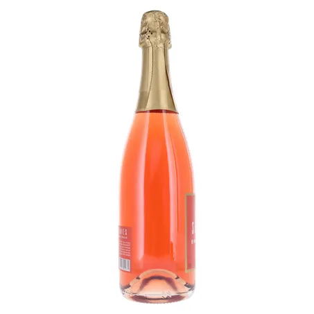 ESPUMANTE ROSE SALTON SERIES BRUT 750ML 360-27
