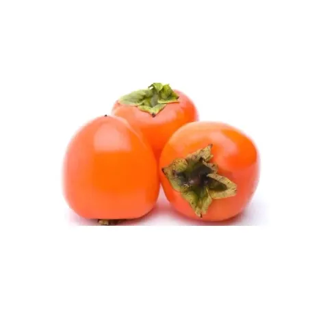 Caqui Orgânico Coopeg 500g