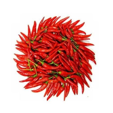 PIMENTA MALAGUETA 100G 360-1