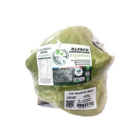 Alface americana Organic Way