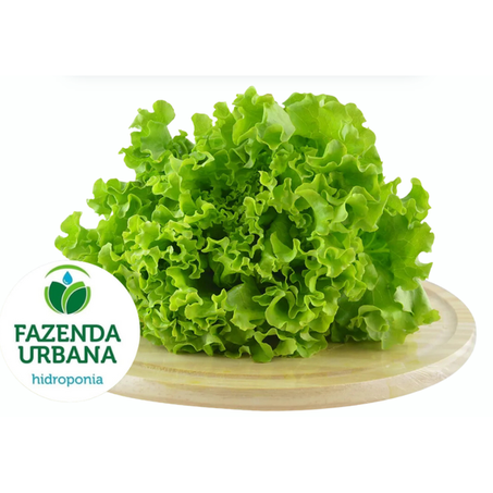 ALFACE HIDROPONIC FAZENDA URBANA UN