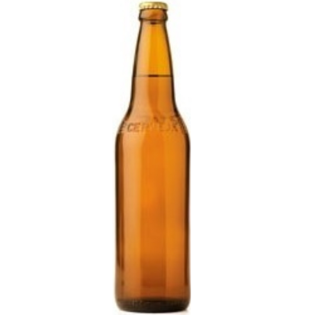Vasilhame garrafa 600ml comum variadas