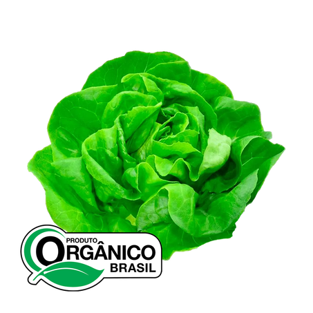 Alface Lisa Cheiro Verde Orgânico 200g