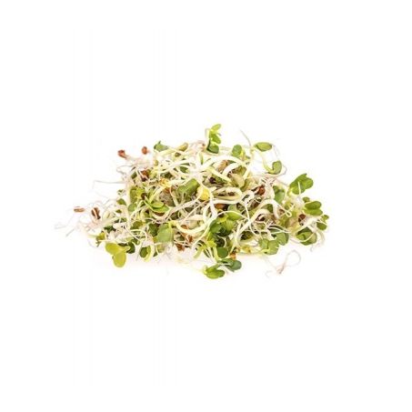 BROTOS ALFAFA* BROTTAR PC 115 G