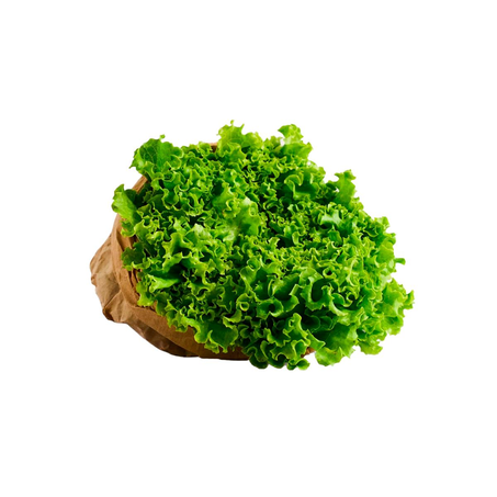 SALADA ALFACE CRESPA RDU ORG.1