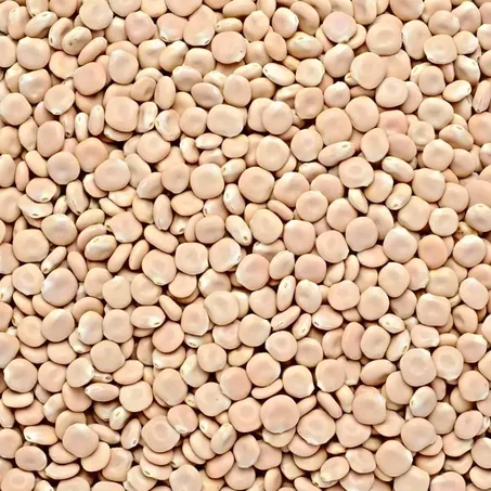TREMOÇO CHILENO KG
