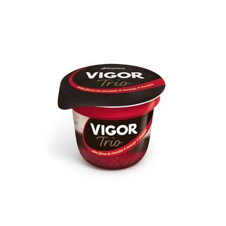Sobremesa vigor 100g flocos/mor/choc