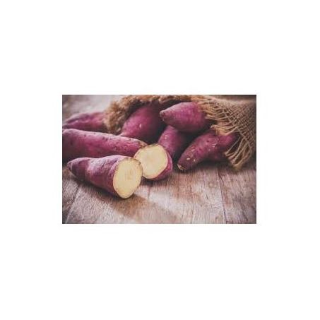 BATATA DOCE