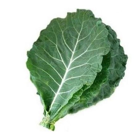 Nt-couve verde/manteiga molho