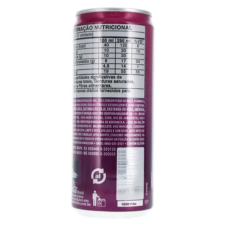 Suco Del Valle Uva Lt 290ml 360-19