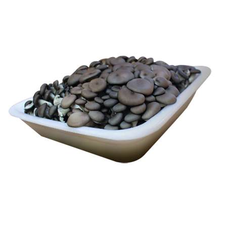 COGUMELO GRANO SHIMEJI PRETO BANDEJA 200G