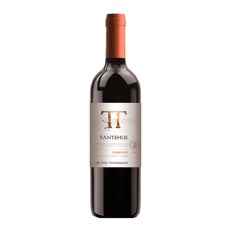 Vinho tantehue 750ml carmenere