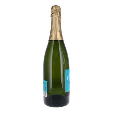 ESPUMANTE SALTON SERIES MOSCATEL 750ML 360-3