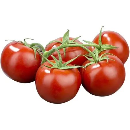 Tomate Holandes Kg 