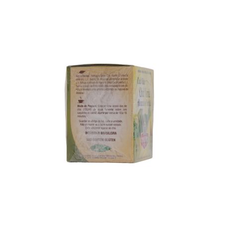 Chá Misto Chileno Chá Verde, Abacaxi, Hortelã e Erva-Mate Caixa com 10un - 10gr 360-48
