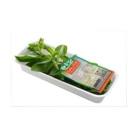 Tempero gauer 16g manjericao