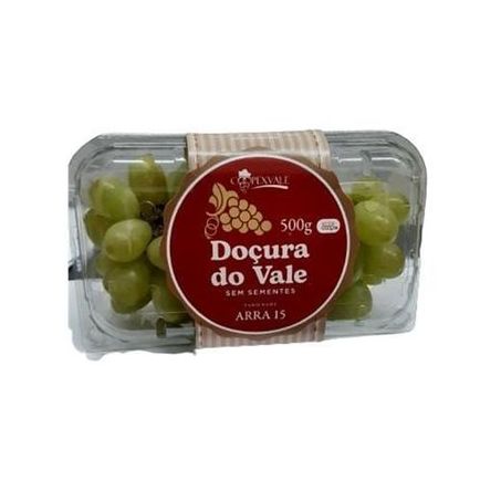 UVA THOMPSON DOCURA DO VALE 500G