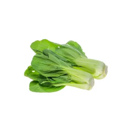 Feira Mostarda Yasato un