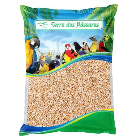 Semente Painço Incas 500g