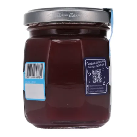 GELEIA BOM PRINC 230G DIET UVA  360-27