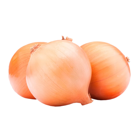 CEBOLA COMUM KG