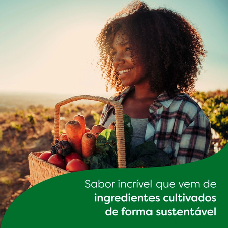 Tempero em Pó KNORR Frango 50 g 10 sachês 360-6