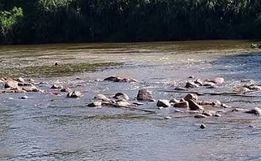 Homem morre afogado no interior de Guaraciaba