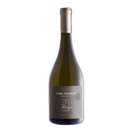 Vinho sauvignon blanc raízes casa valduga 750ml