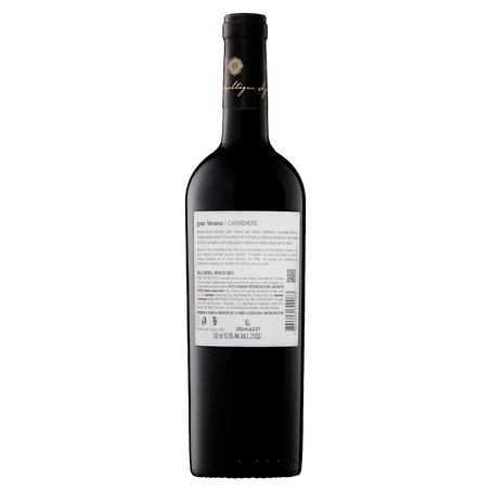 Vinho Apaltagua Gran Verano Carménère 750ml




 360-1