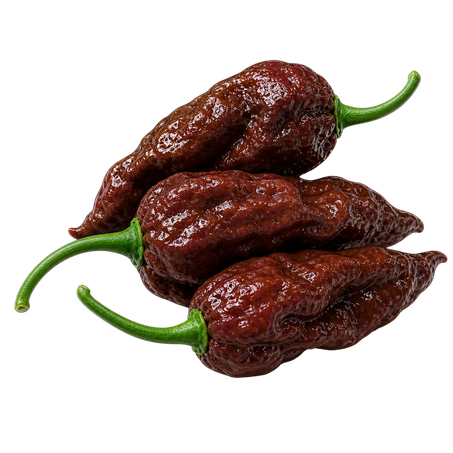 PIMENTA ARDIDA BHUT JOLOKIA CHOCOLATE