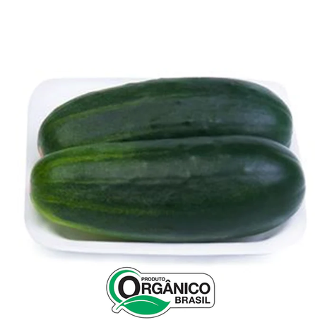 Pepino Salada Orgânico Coopeg 400g