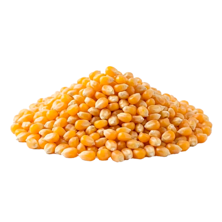 MILHO DE PIPOCA 500G