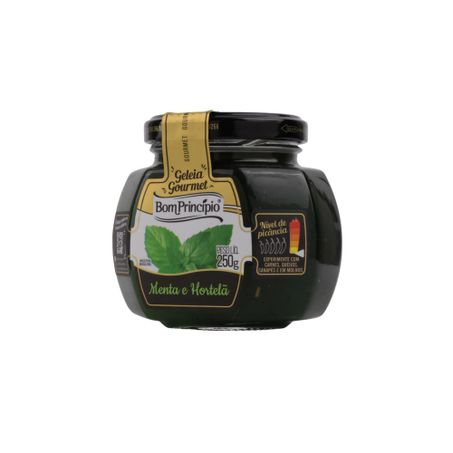 GELEIA BOM PRINCIPIO GOURMET MENTA E HORTELA 250G  360-5