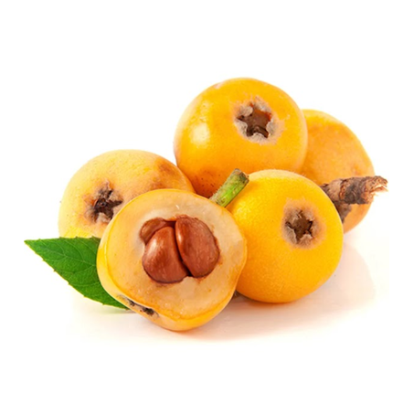Feira Nêspera Tropical 400g