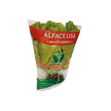 ALFACE HIDROPÔNICA LISA UN