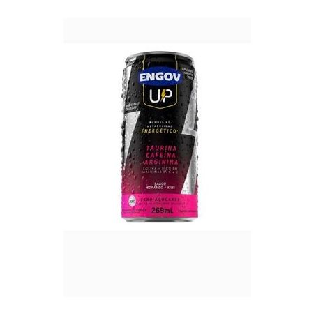 Suplemento up morango e kiwi engov 250ml