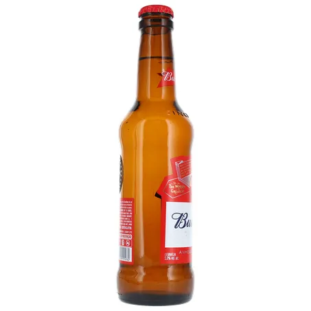 CERVEJA BUDWEISER C/CASCO LONG NECK 330ML 360-3