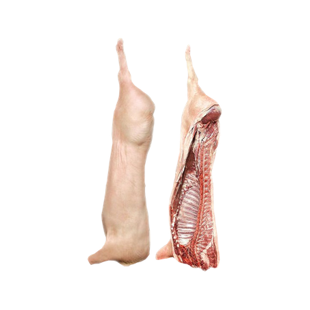 CARCACA SUINA RESF kg MAE
